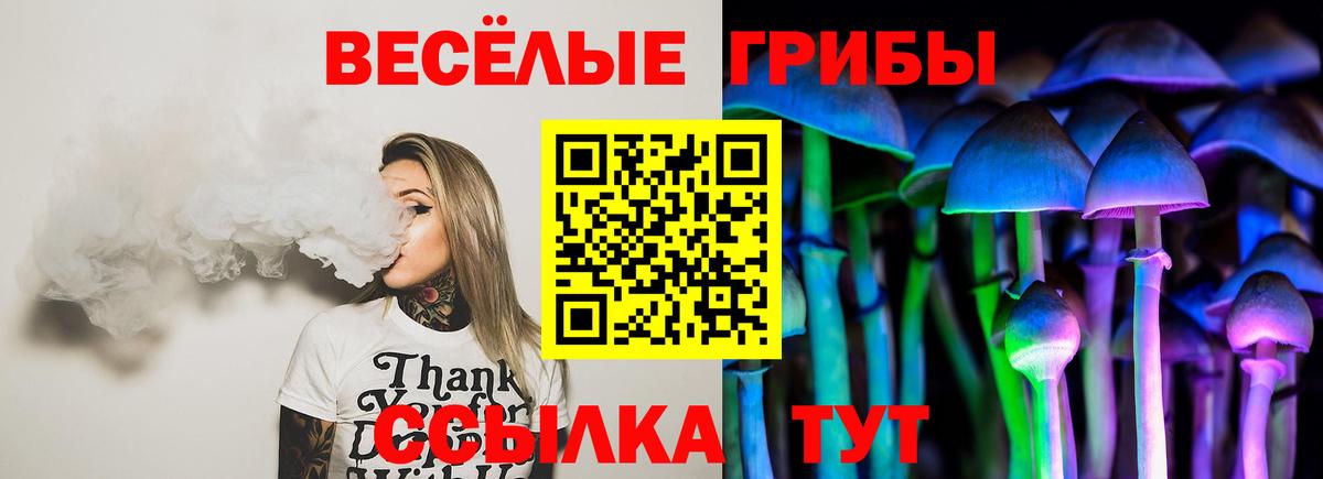 Псилоцибиновые грибы GOLDEN TEACHER  Вход с VPN  Зеленогорск  Галлюциногенные грибы GOLDEN TEACHER 